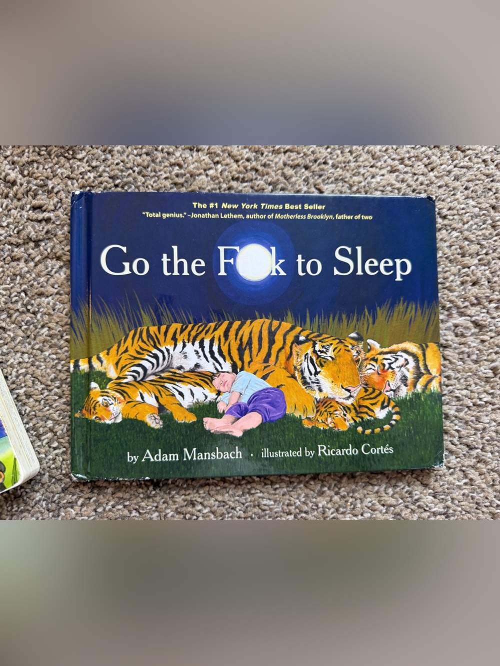Go the F**k to Sleep Hardcover Book - Blue & Green Cover